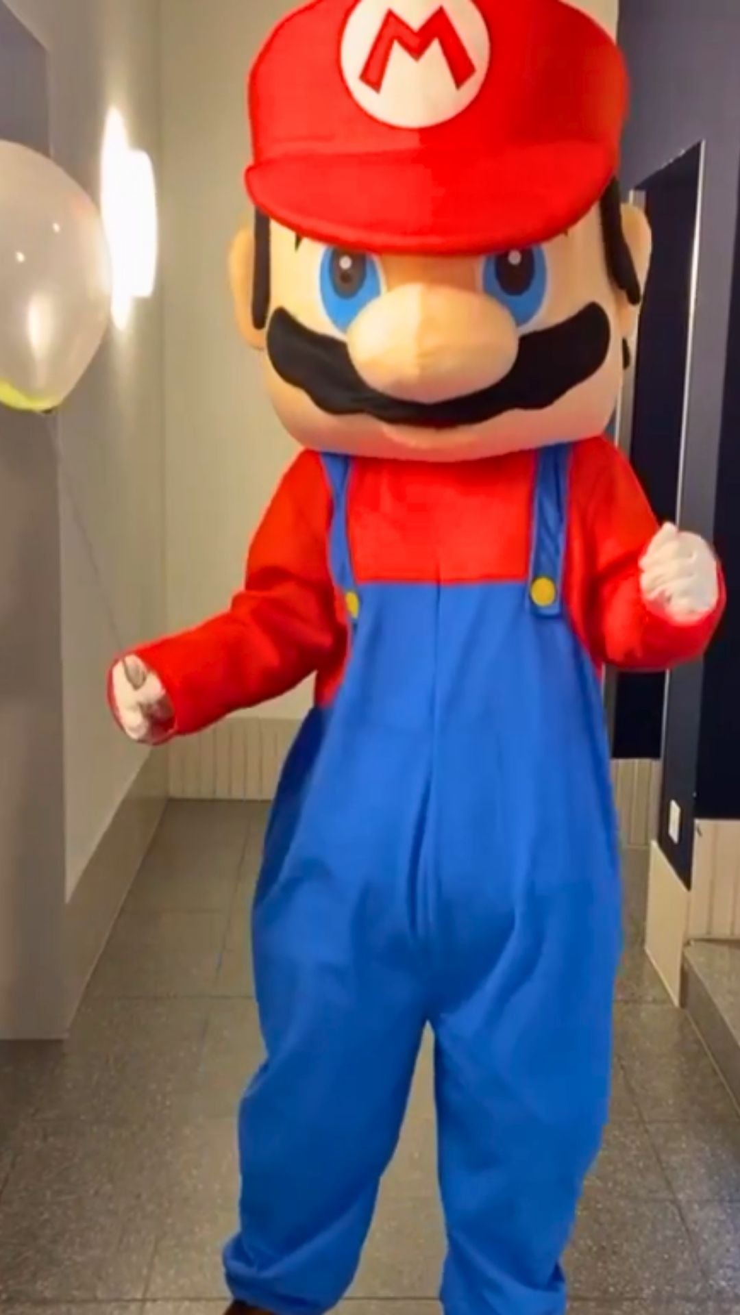 Super Mario Maskottchen