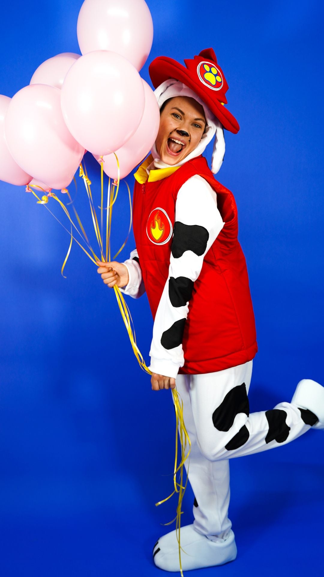 Buche Marshall von der Paw Patrol für den Geburtstag deines Kindes.